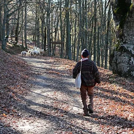 فندق مبيت وإفطار Etna Taormina رانداتسو